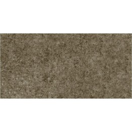 Gạch ốp tường Trường Thịnh LIFESTONE TT36155